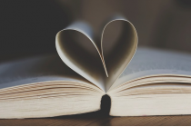 Tema 6, Litteratur